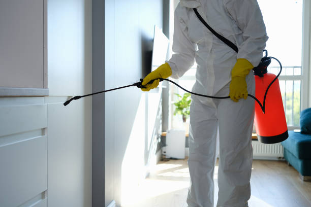 Best Emergency Mold Remediation in Ypsilanti, MI